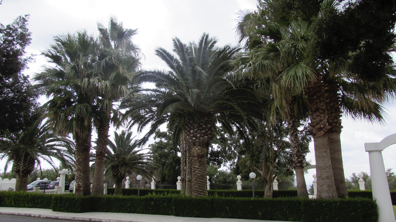 sentiero-delle-palme-etnapalace